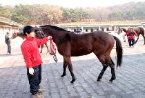 ��Ʋ���� (LITTLE HUNTER) ����