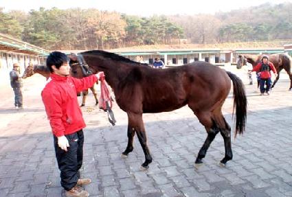 ��Ʋ���� ����