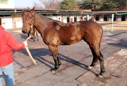 �����Ŀ� ����