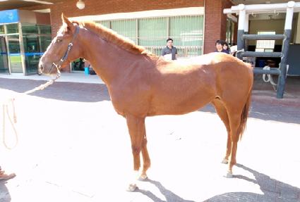 ��Ʋè�� ����