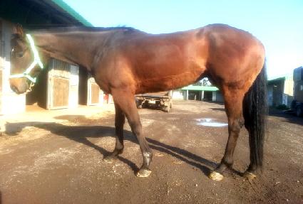 �������� ����