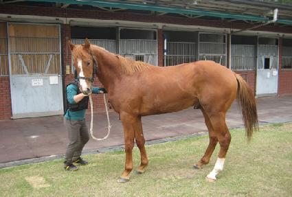 �������� ����