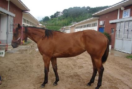 �¸��Ǳ�� ����