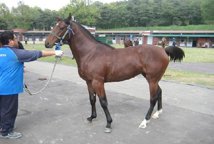 ��º��� ����