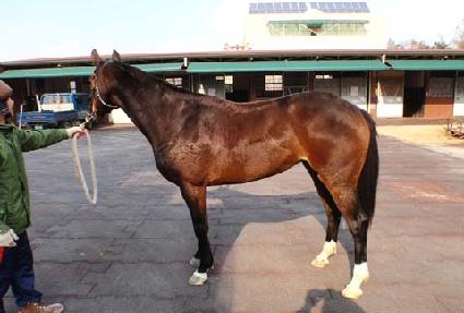 ��õ�ǲ� ����