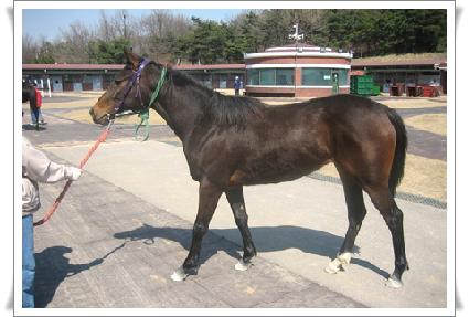 ���ӵ��� ����