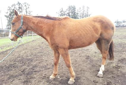 �޸��� ����