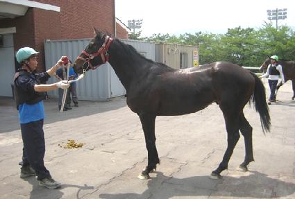 �þ�Ʋ���� ����