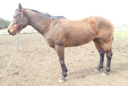 ����ƾ ����