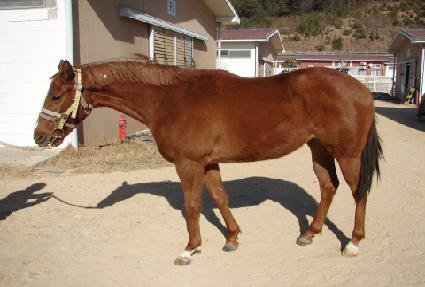 �����Ƽ ����