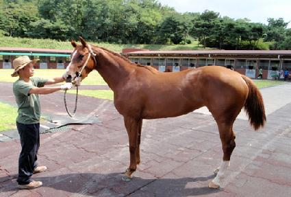 ��극�̵� ����