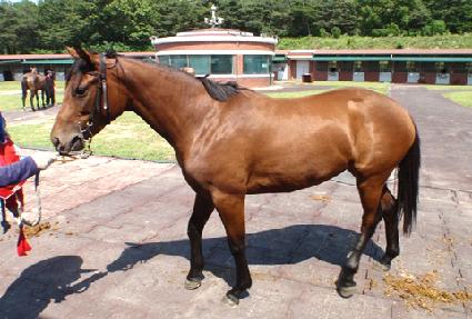 õ������ ����