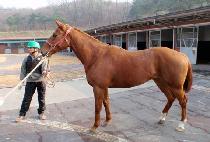 �ö��̿����� (FLY ENERGY) ����