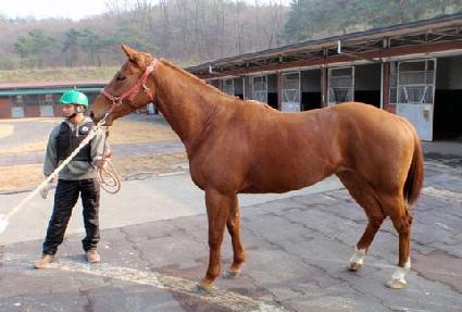 �ö��̿����� ����