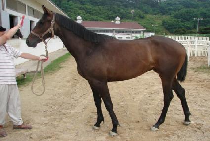 ���Ͻ¸� ����