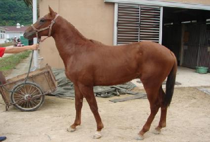 ������丮 ����