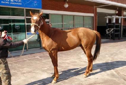 �����ͺ� ����