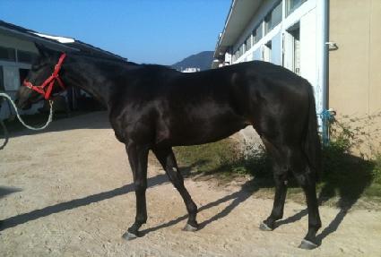 ����� ����