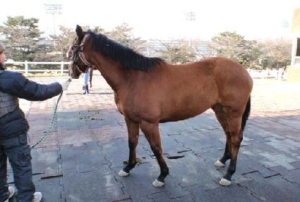 ��ȣ�� ����