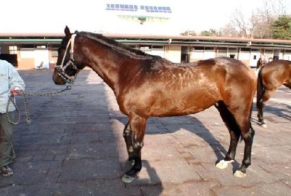 ������ ����