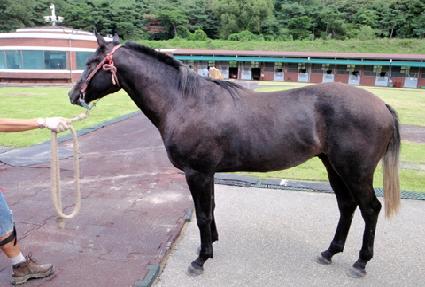 ���ĸƾ ����