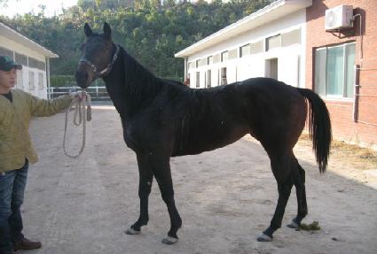 ��� ����