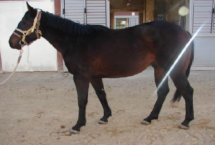 �ε��ֵ� ����