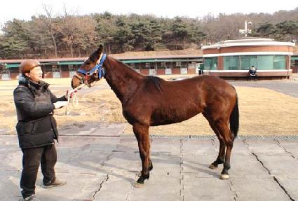 �����̱��� ����