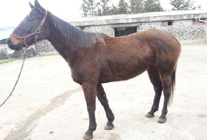 �¸�� ����