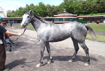 ������ ����