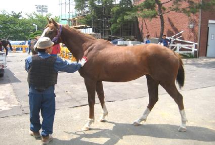 ���϶� ����