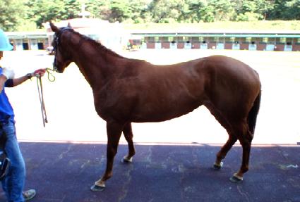 ���� ����