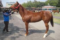 ���緹�� (BLUE RAY) ����