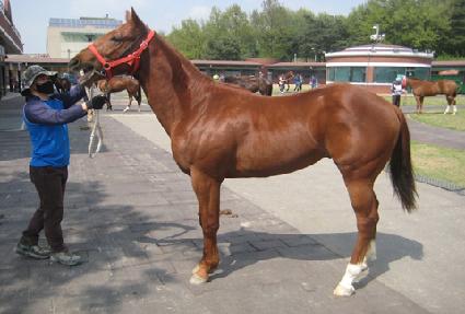 ���緹�� ����