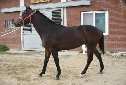 ���̽����� ����