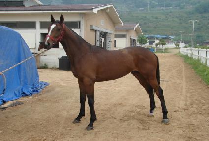 ����Ÿ�̰� ����