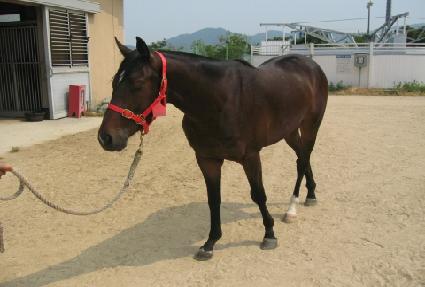 �ڸ���ĭ ����