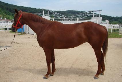 ������۽� ����