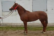 ��Ʈ����ũ (HEARTACHE) ����