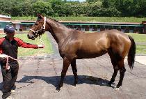 ���׸��Ʈ (RUNNING MOMENT) ����