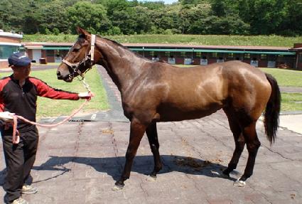 ���׸��Ʈ ����