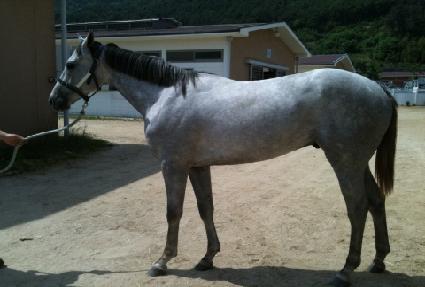 ����Ʈ������ ����