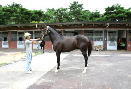 ������ ����