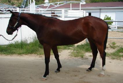 ��ũ�������� ����