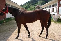 �����۸��� (WHISPERING SEA) ����