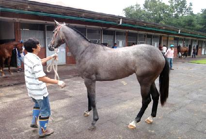 Į����� ����