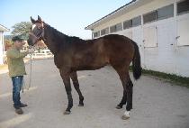 ���� (JISAN) ����