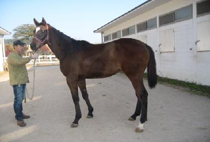 ���� ����