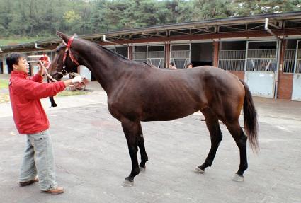 ����� ����