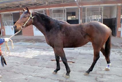 ��������� ����